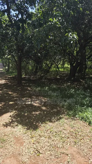 2nd Row 1-Acre Parcel in Bofa for Sale