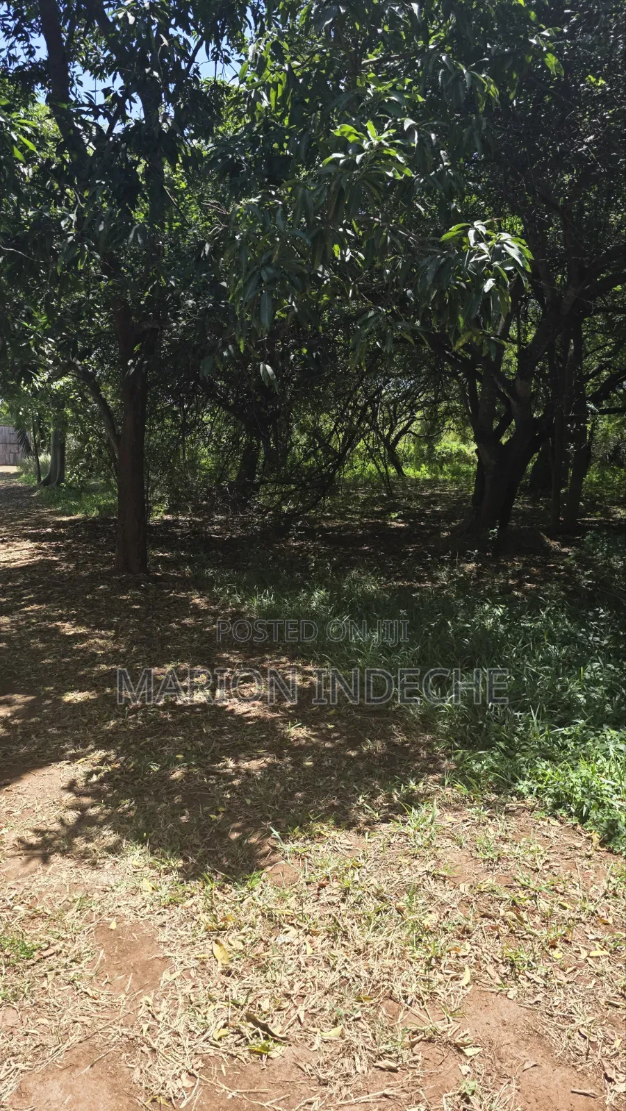 2nd Row 1-Acre Parcel in Bofa for Sale