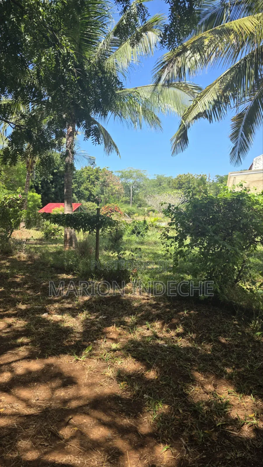 2nd Row 1-Acre Parcel in Bofa for Sale