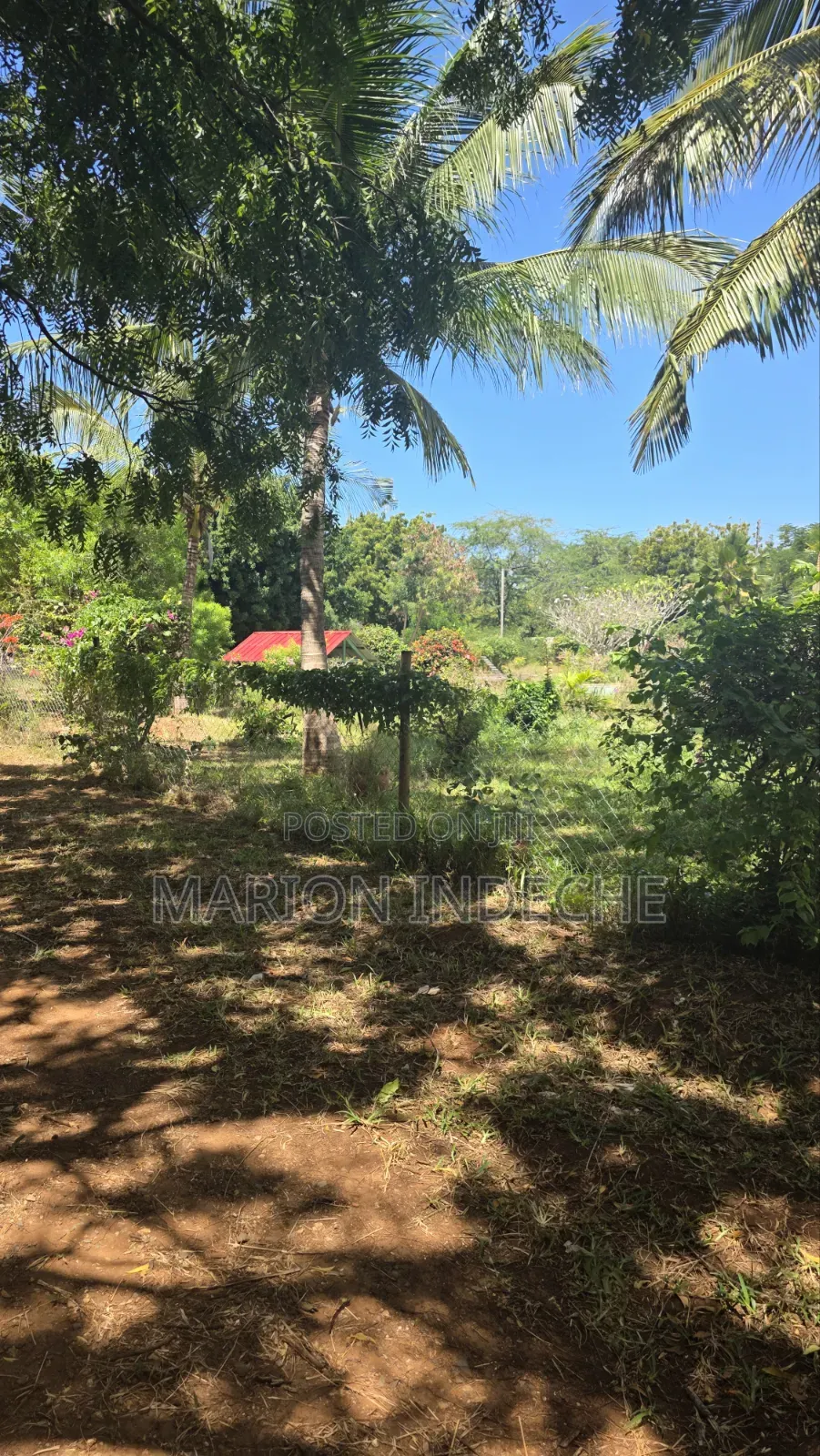 2nd Row 1-Acre Parcel in Bofa for Sale