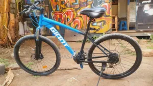 Mountain Bike With Motor Hub