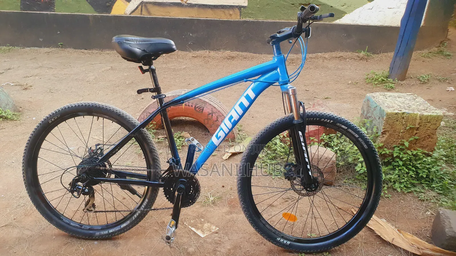 Mountain Bike With Motor Hub