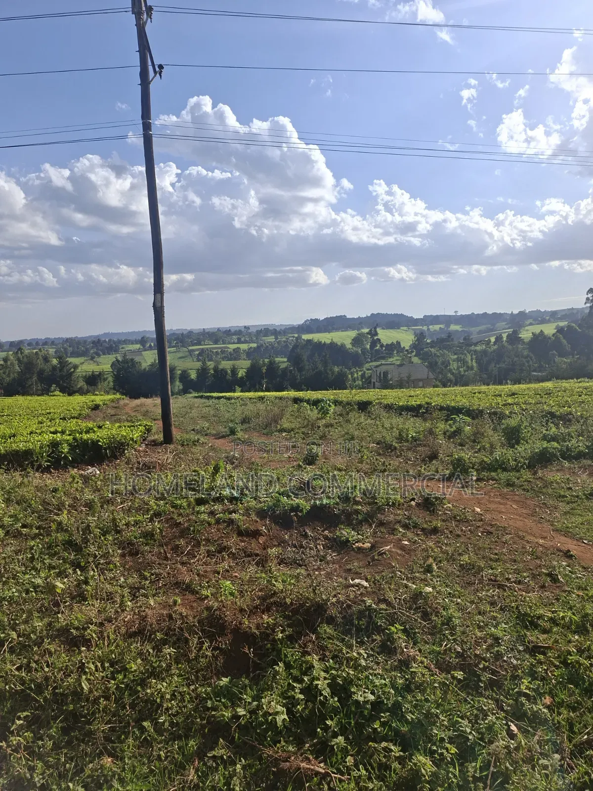 30 Acres for Sale in Riara RIDGE Tigoni