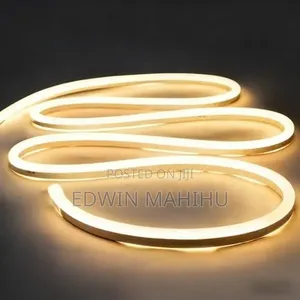 Warm White Double Line Snake Light