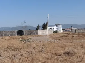 50 by 100 Plot Selling at Kantafu 700mtrs