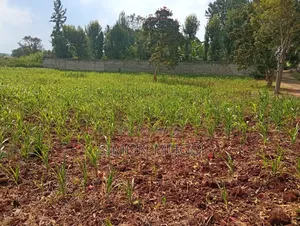 Runda Gardens Prime Residential Serviced Well Drained Red Soil 3/4 AC