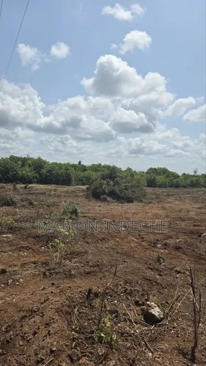 Chumani Affordable 50x100ft Beach Plots for Sale