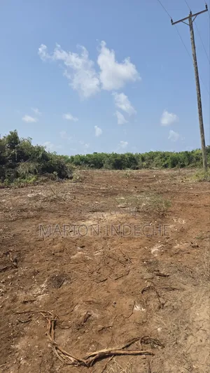 Chumani Affordable 50x100ft Beach Plots for Sale
