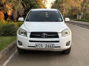 Toyota RAV4 2009 Pearl