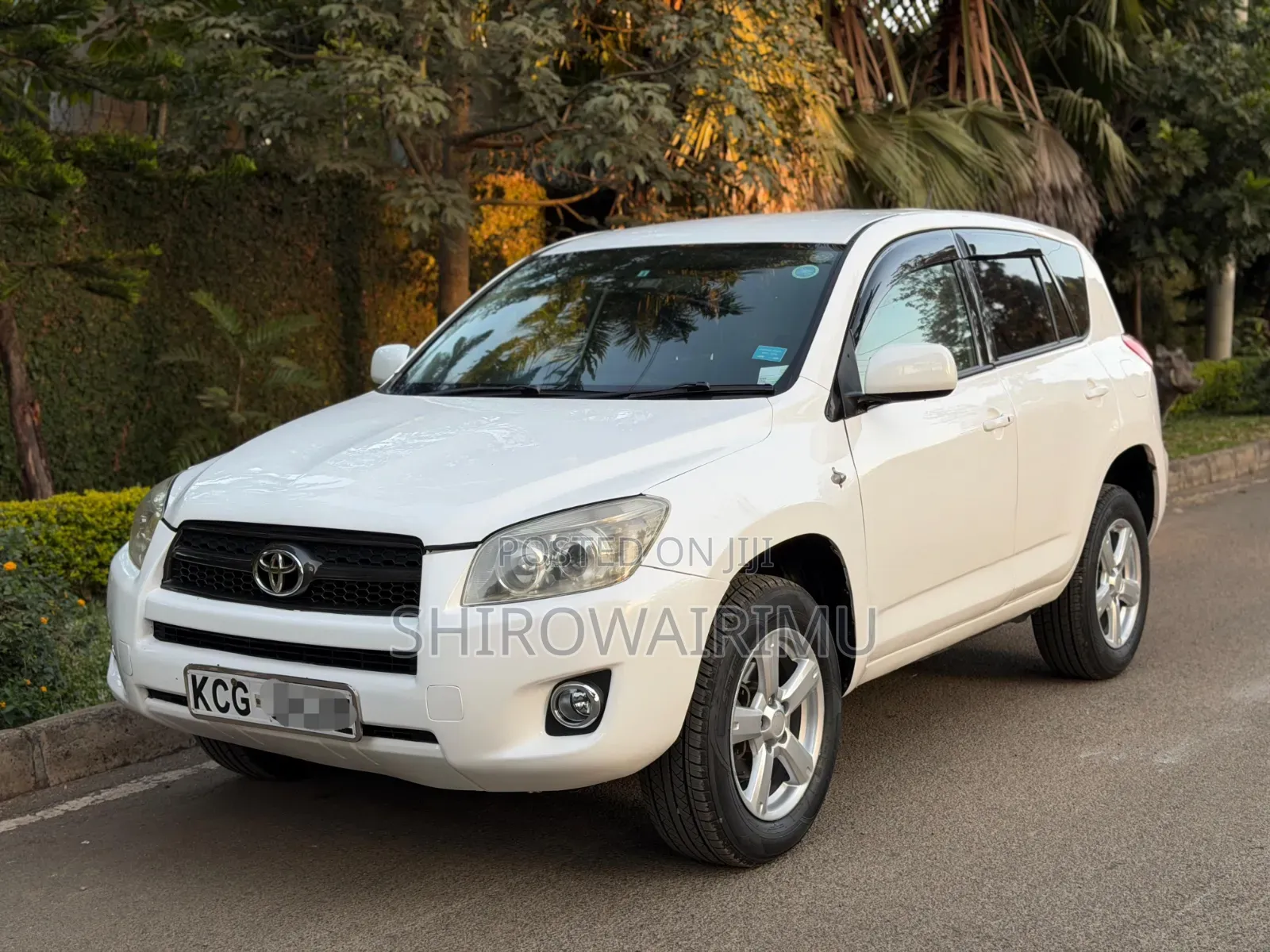Toyota RAV4 2009 Pearl