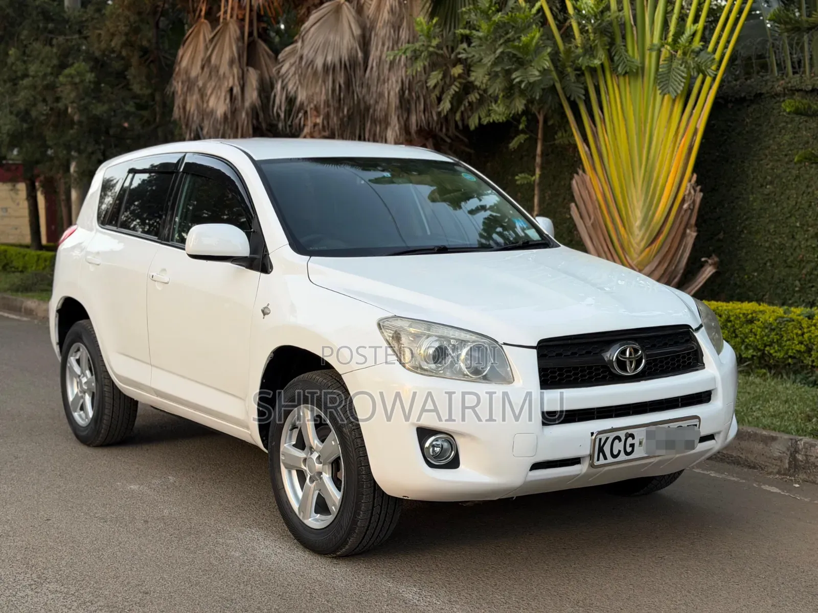 Toyota RAV4 2009 Pearl