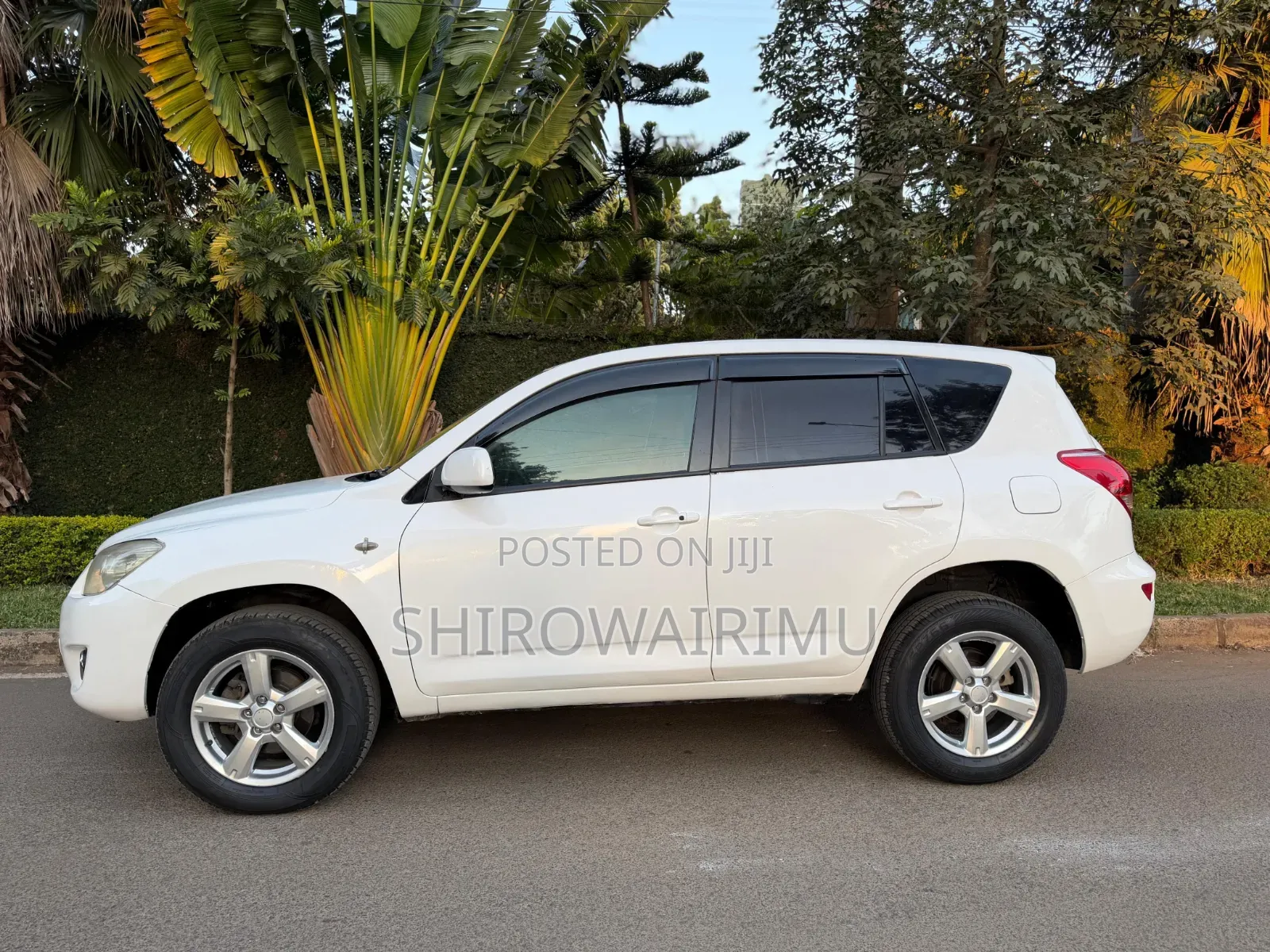 Toyota RAV4 2009 Pearl