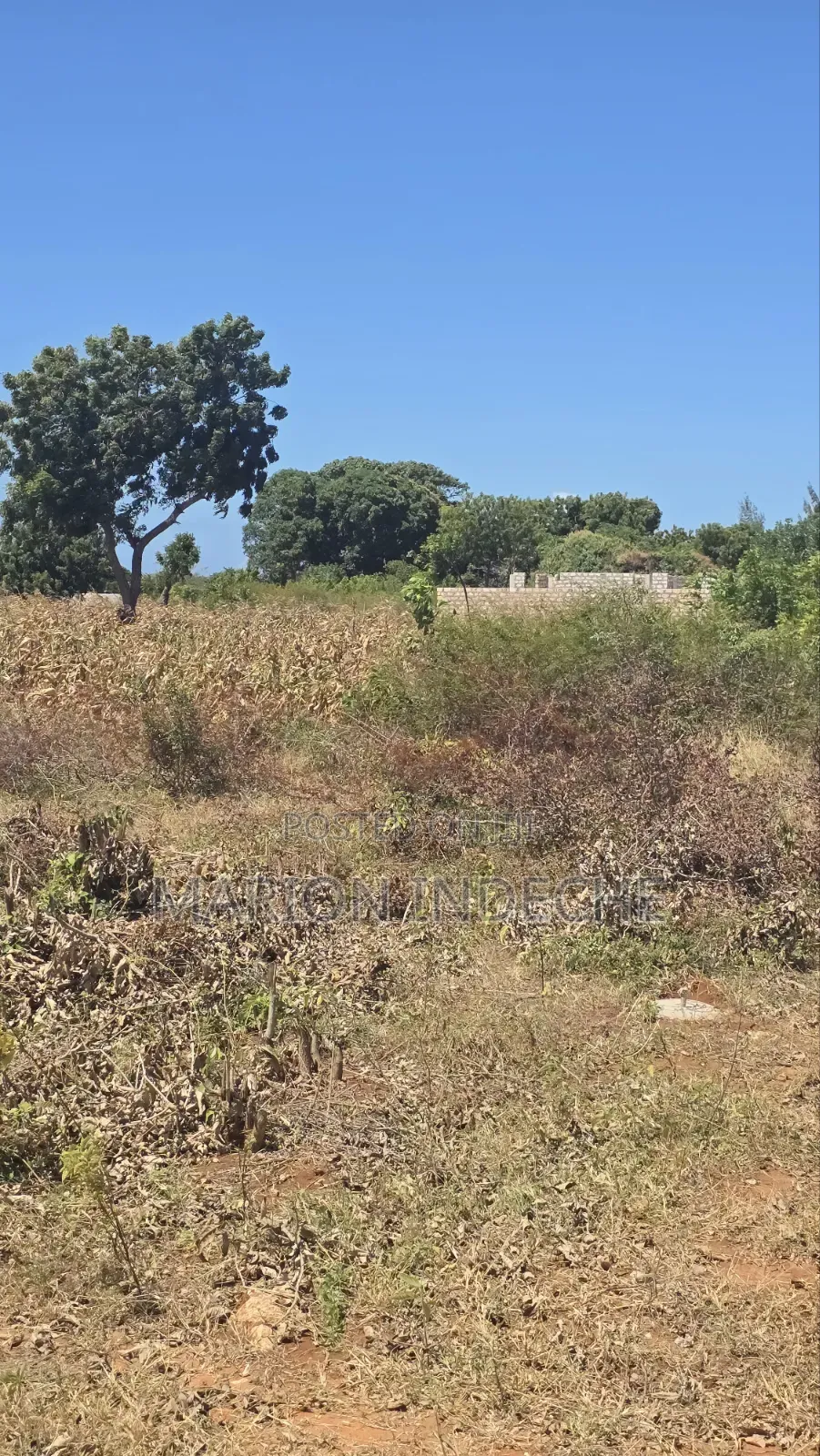 Half Acre for Sale in Kilifi Bofa 300meters Off B69
