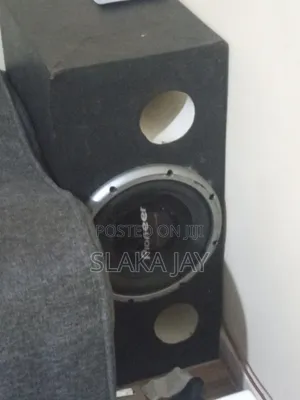 Pioneer Speaker