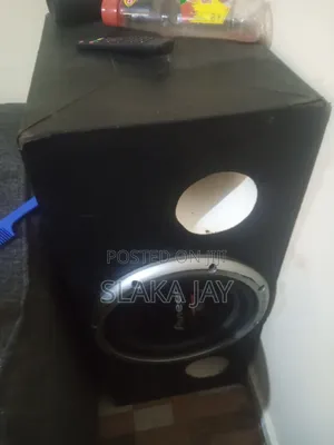 Pioneer Speaker