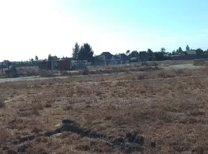 50 by 100 Plot Selling at Kantafu
