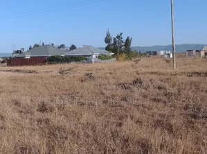 50 by 100 Plot Selling at Kantafu