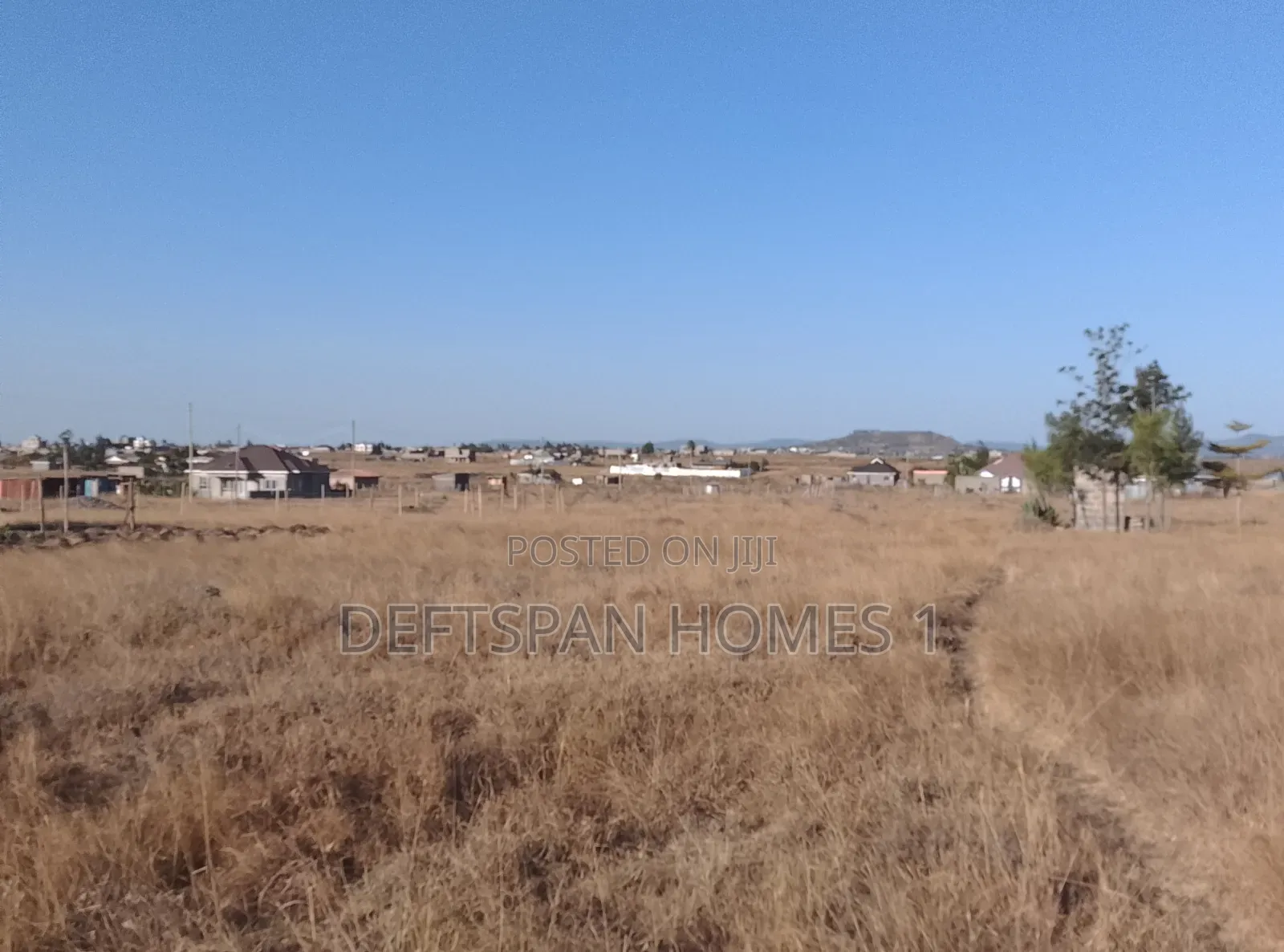 50 by 100 Plot Selling at Kantafu