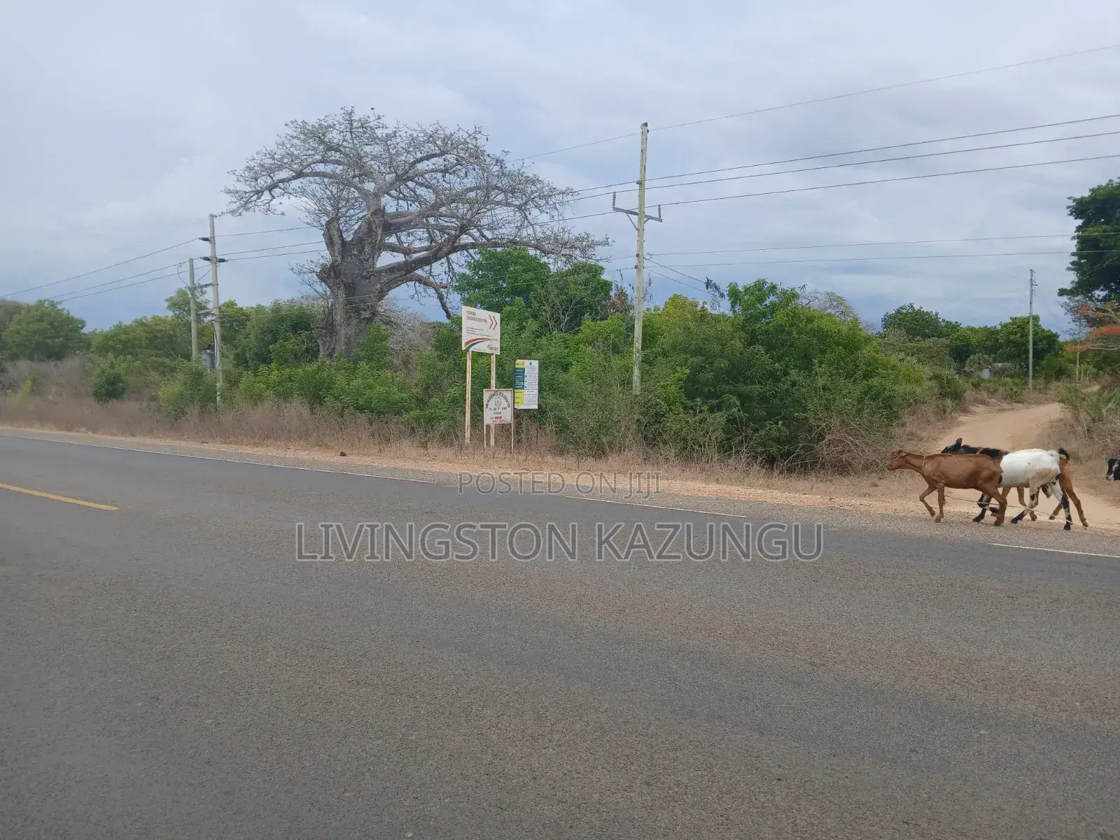 Plots/Shambas in HINDI/mokowe Lamu Are Now Available at Chepst Prices