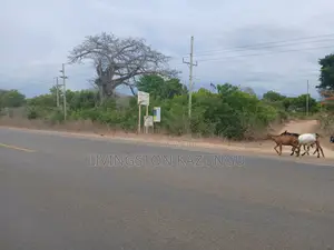 Plots/Shambas in HINDI/mokowe Lamu Are Now Available at Chepst Prices