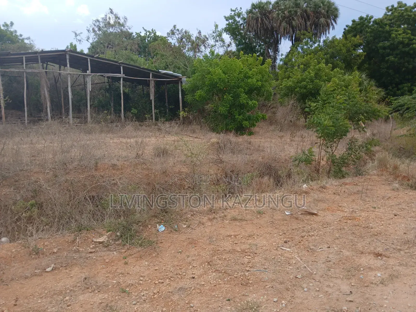 Plots/Shambas in HINDI/mokowe Lamu Are Now Available at Chepst Prices