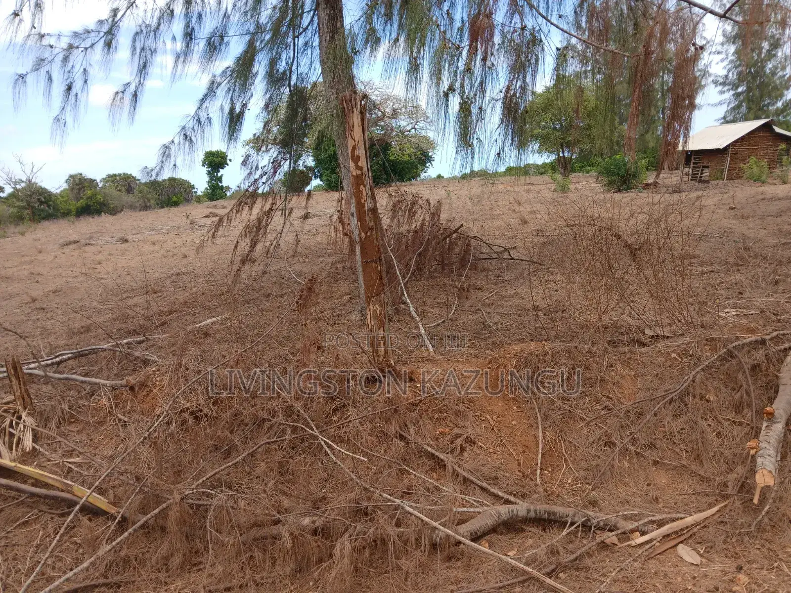 Plots/Shambas in HINDI/mokowe Lamu Are Now Available at Chepst Prices