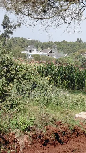 Parcel of Land in Ngecha for Sale- Limuru Area