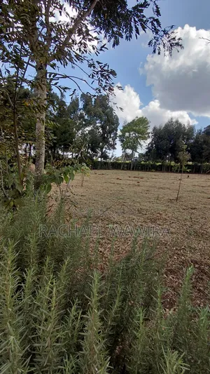Parcel of Land in Ngecha for Sale- Limuru Area