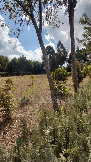 Parcel of Land in Ngecha for Sale- Limuru Area