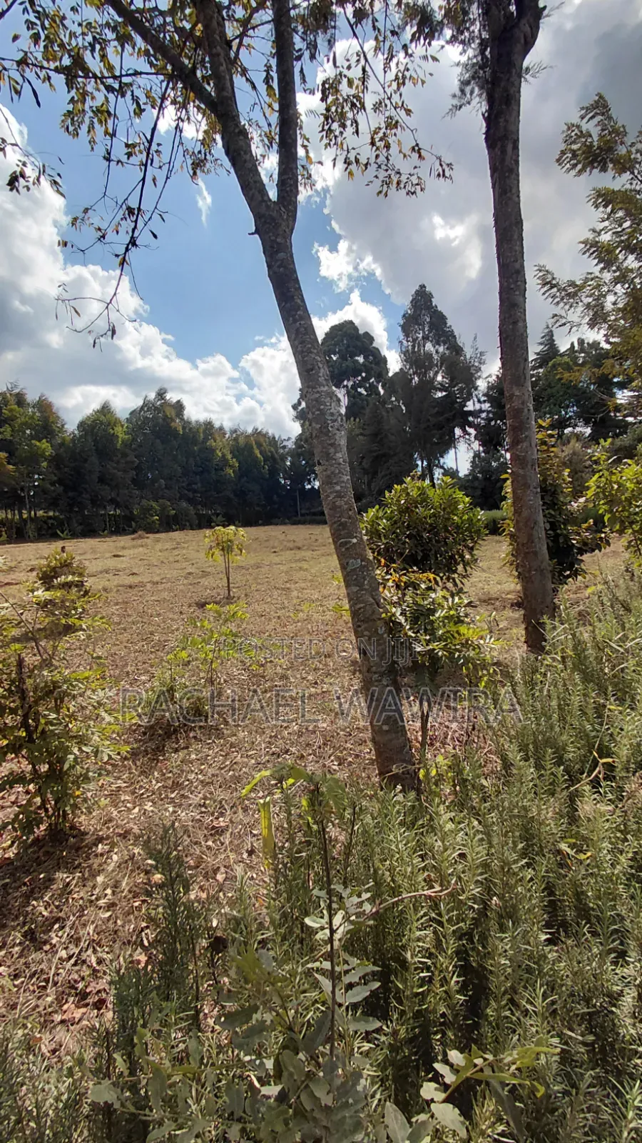 Parcel of Land in Ngecha for Sale- Limuru Area