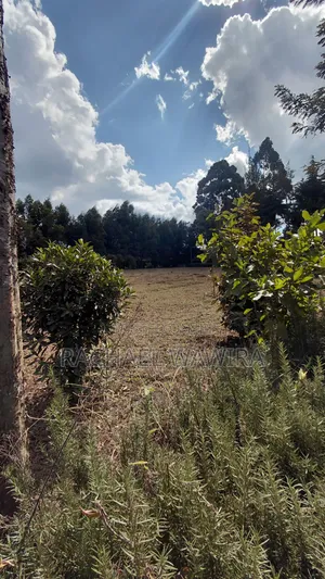 Parcel of Land in Ngecha for Sale- Limuru Area