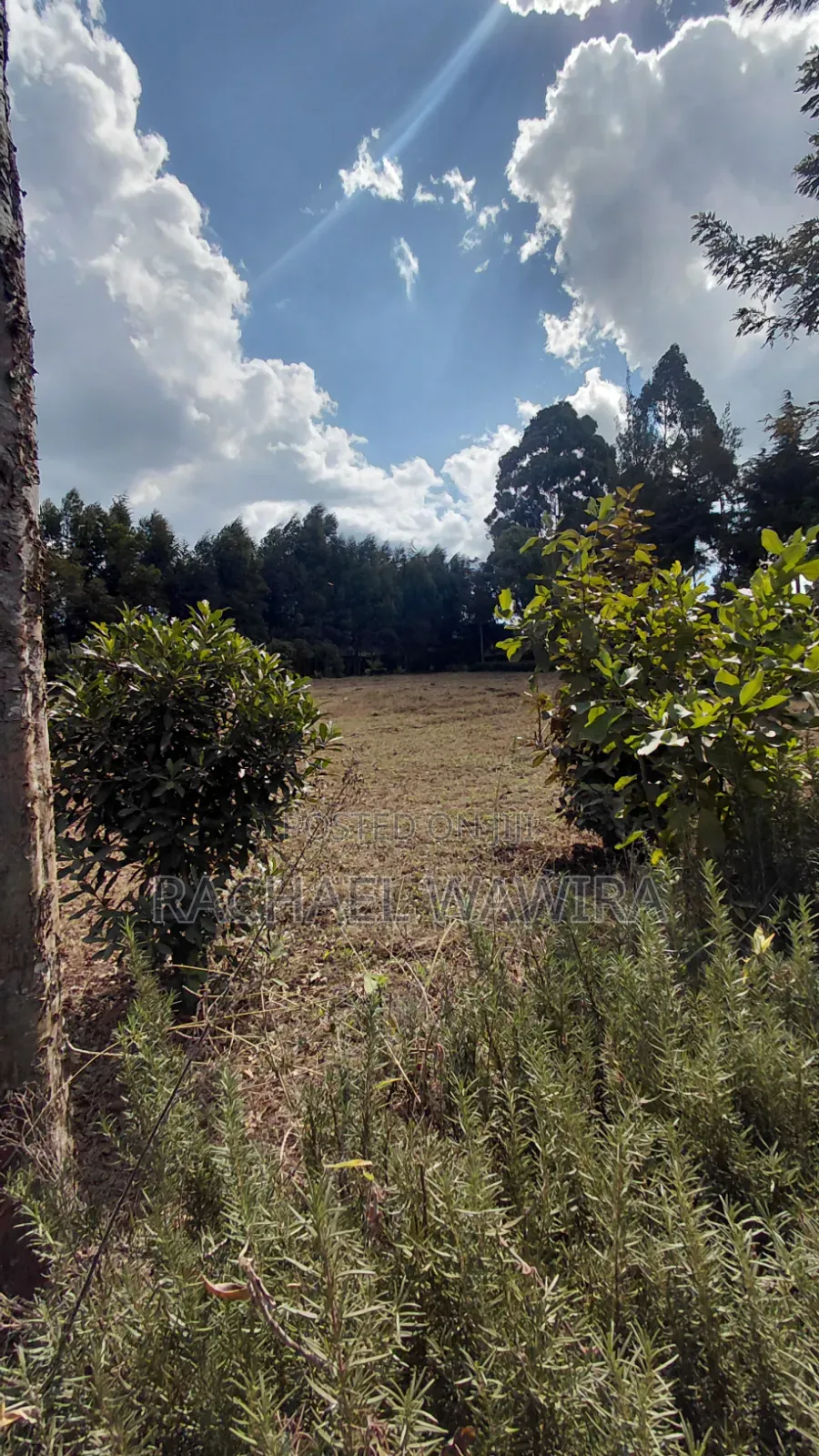 Parcel of Land in Ngecha for Sale- Limuru Area
