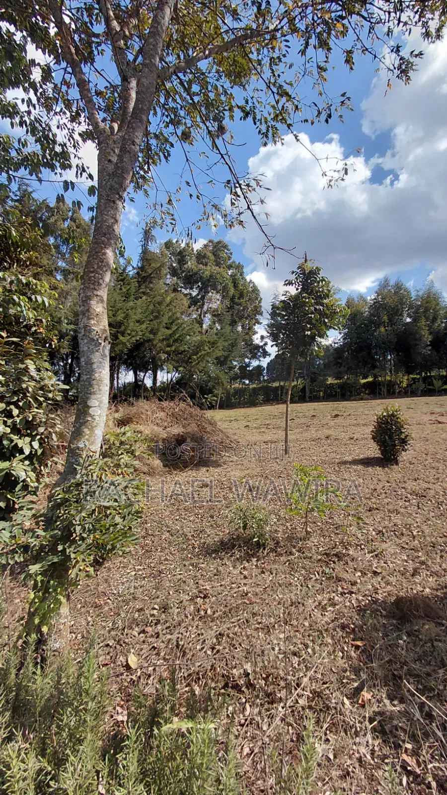 Parcel of Land in Ngecha for Sale- Limuru Area