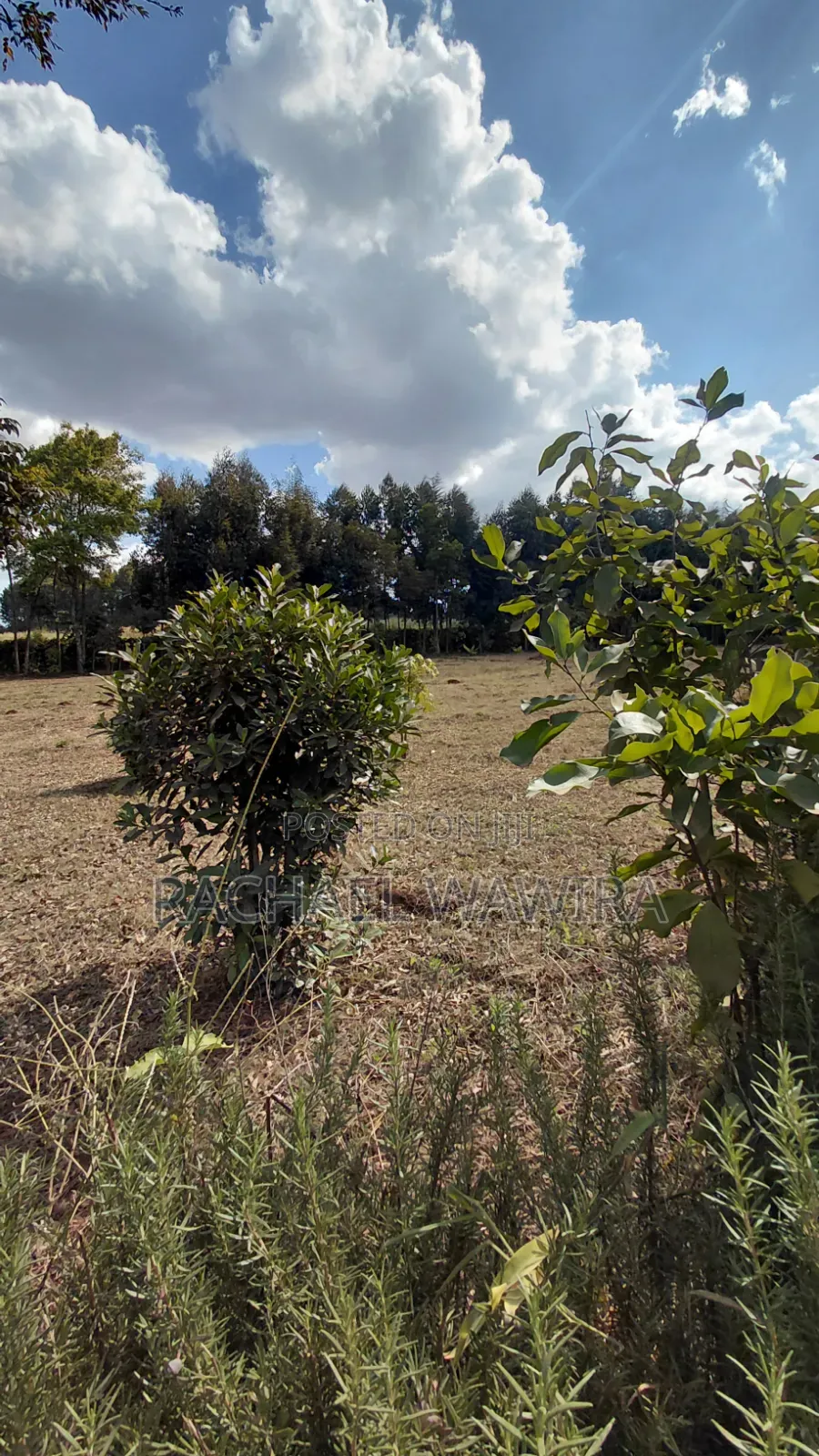 Parcel of Land in Ngecha for Sale- Limuru Area