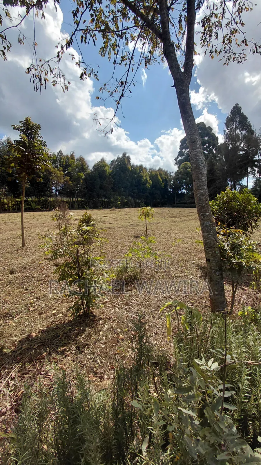 Parcel of Land in Ngecha for Sale- Limuru Area