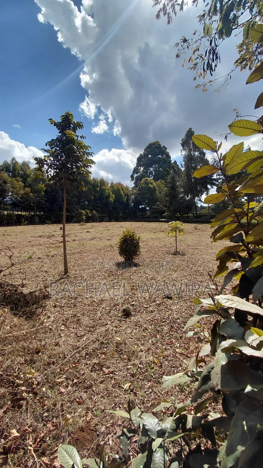 Parcel of Land in Ngecha for Sale- Limuru Area