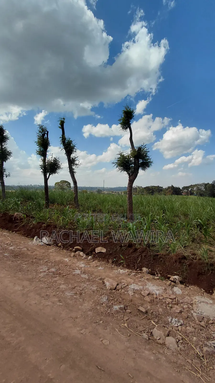 Parcel of Land in Ngecha for Sale- Limuru Area