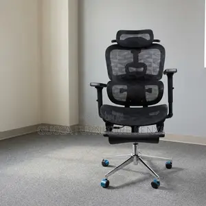Modern Full Mesh Study Chair With Footrest.