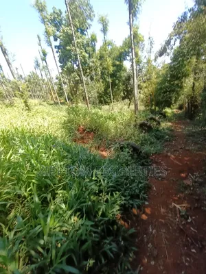 Developed Land4 Acres to Sell in Karen Kalinde