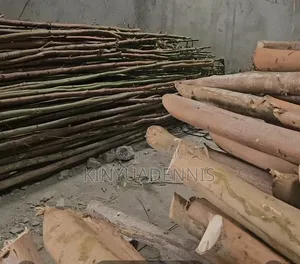 Props/Poles