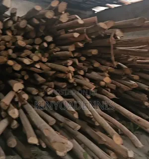 Props/Poles