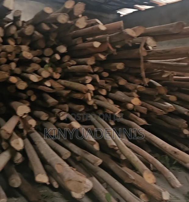 Props/Poles - thumbnail 2
