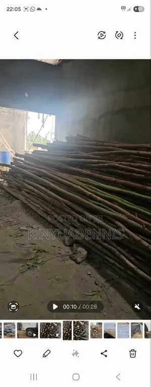 Props/Poles