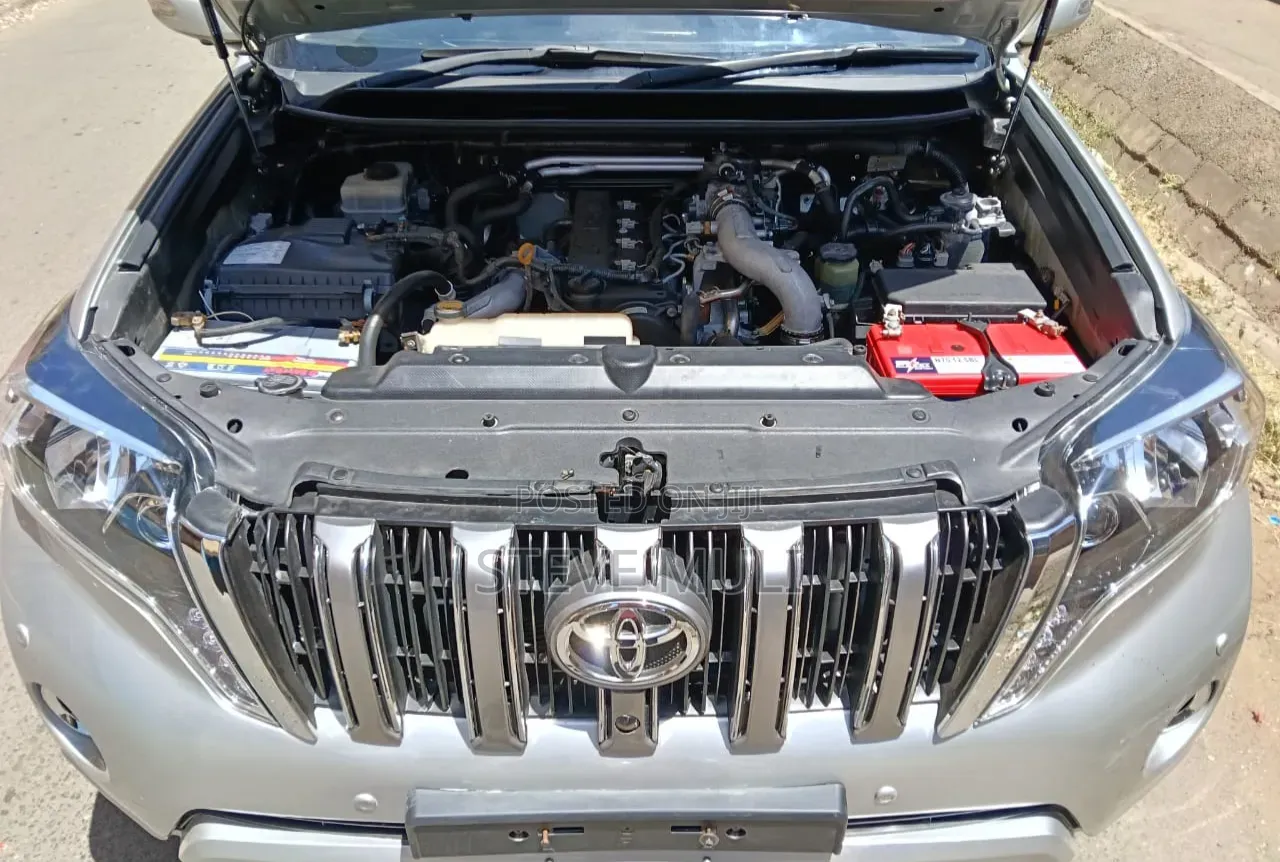 Toyota Land Cruiser Prado 2010 Silver