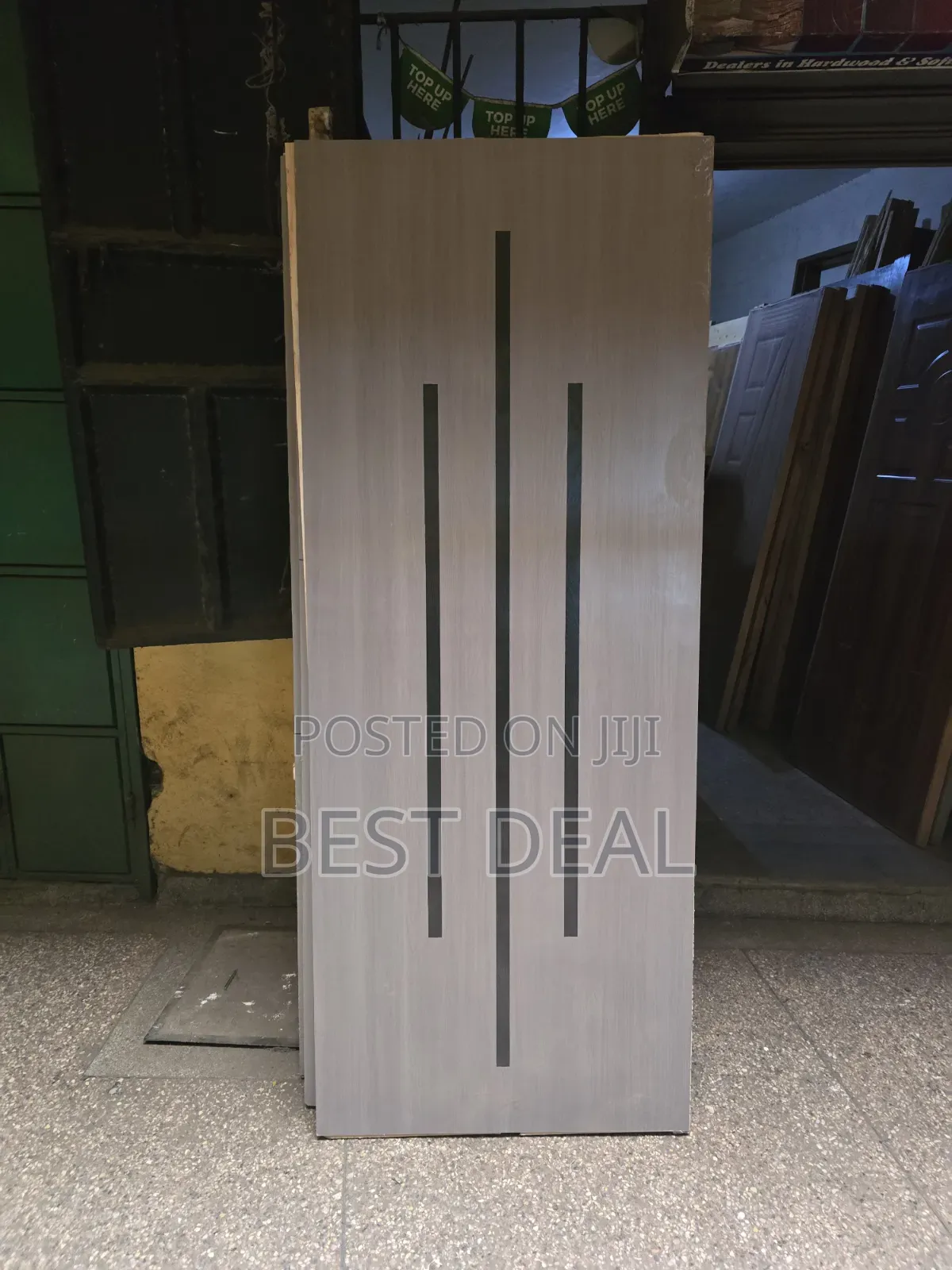 Modern Flush Door