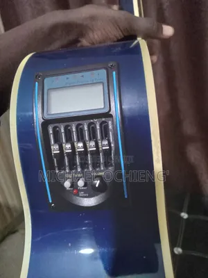 Acoustic Guitar