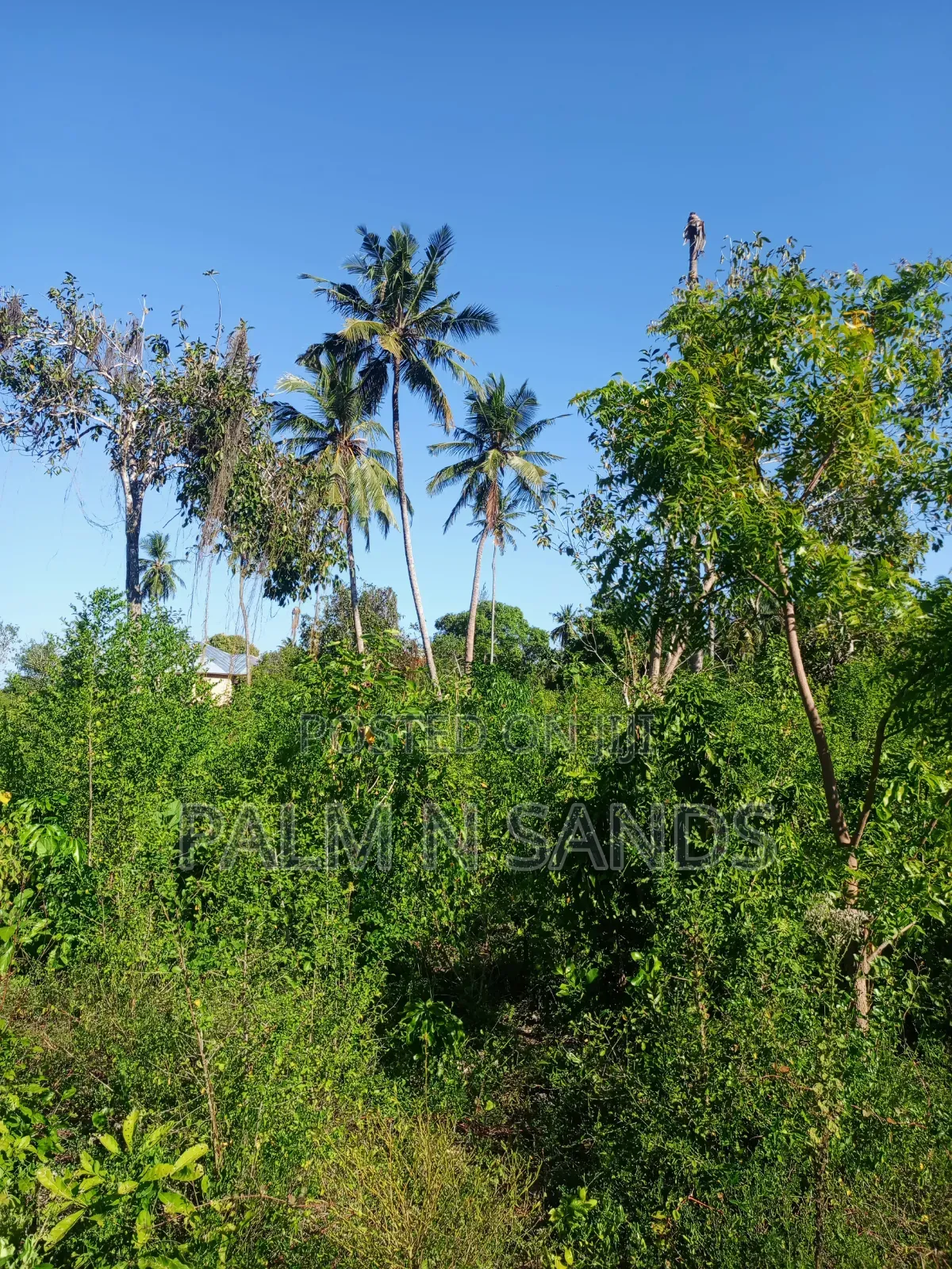 One Acre on Second Row in Galu Diani on Sale!