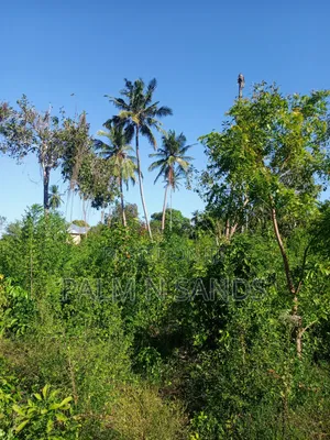 One Acre on Second Row in Galu Diani on Sale!