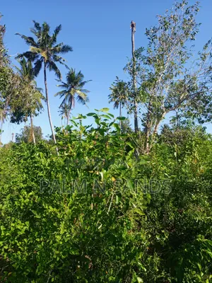 One Acre on Second Row in Galu Diani on Sale!