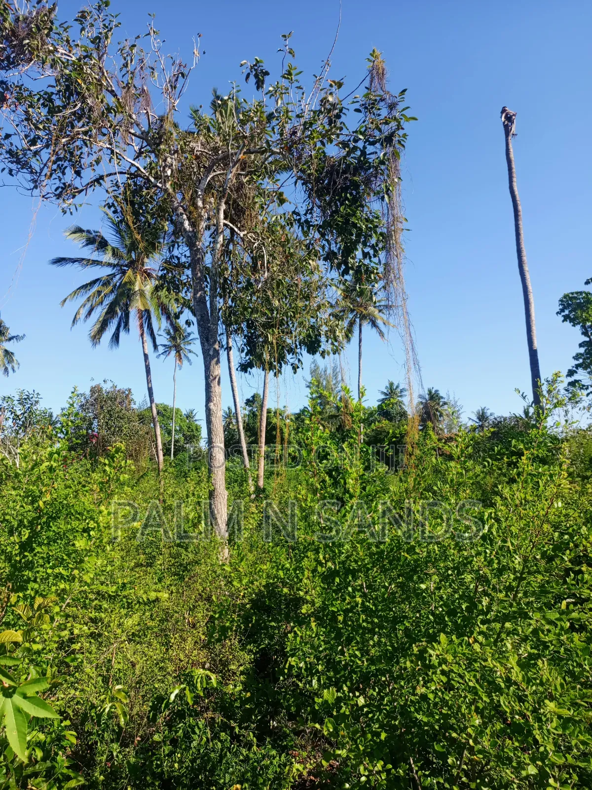 One Acre on Second Row in Galu Diani on Sale!
